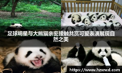 足球明星与大熊猫亲密接触共赏可爱表演展现自然之美